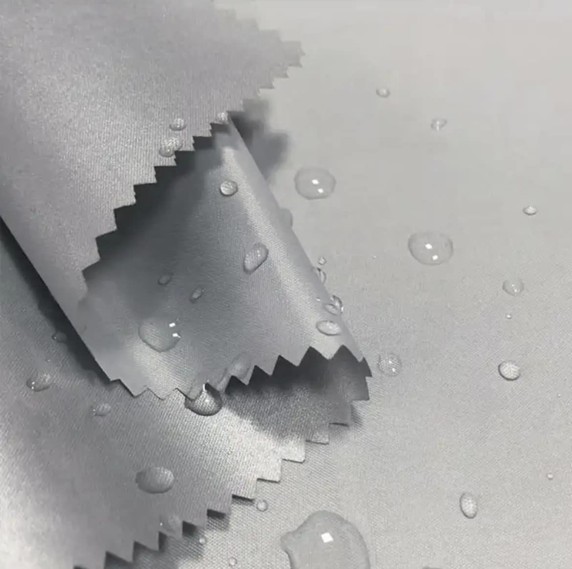 329327529_865429501411297_4581233883859350277_n